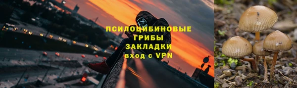 прущая мука Осинники