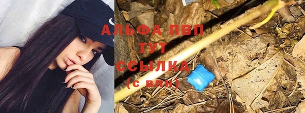 прущая мука Осинники