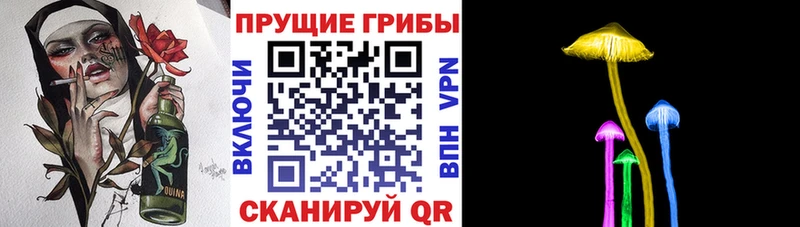 где купить наркоту  Россошь  Галлюциногенные грибы прущие грибы 